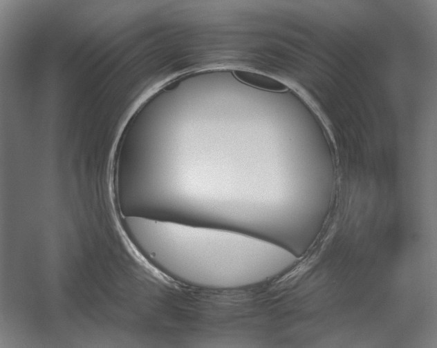 X0000057040957200509090813