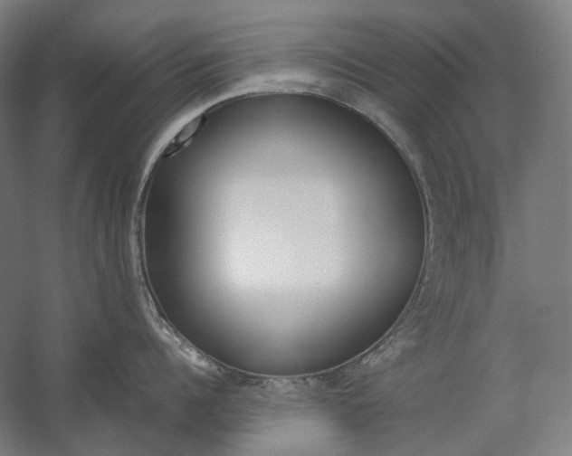 X0000057040960200509090813