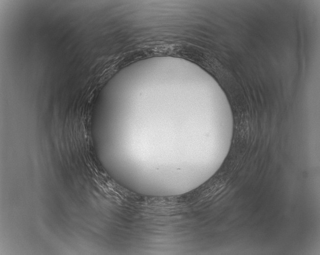 X0000057040962200509090812