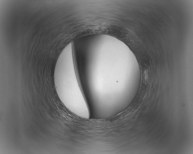 X0000057040963200509090812