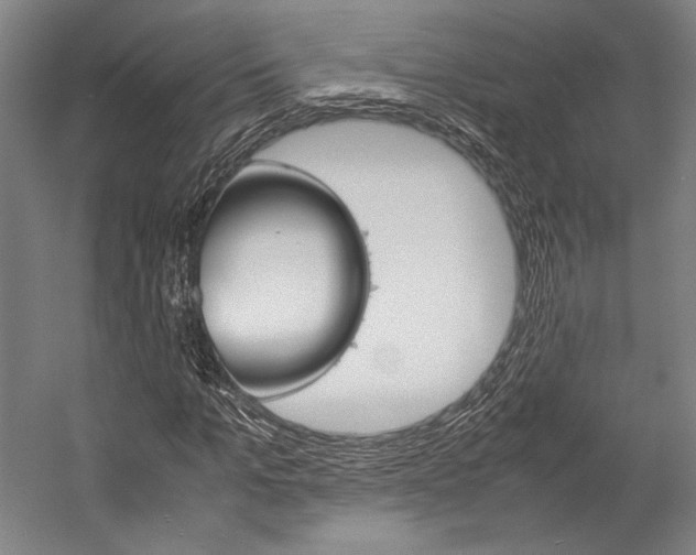 X0000057040965200509090812
