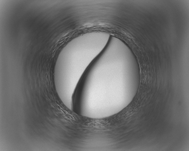 X0000057040966200509090812