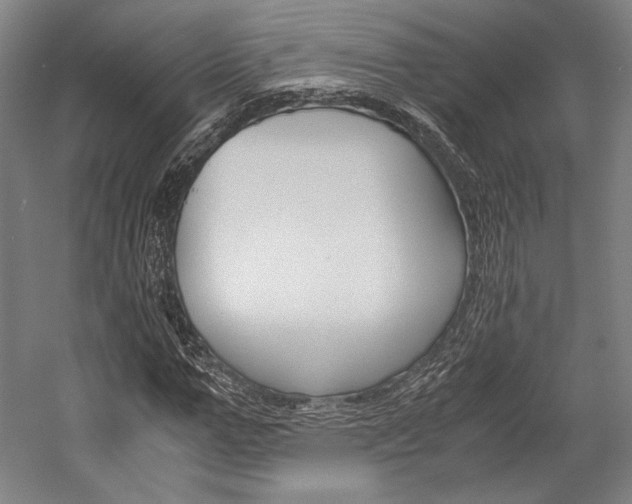X0000057040967200509090812