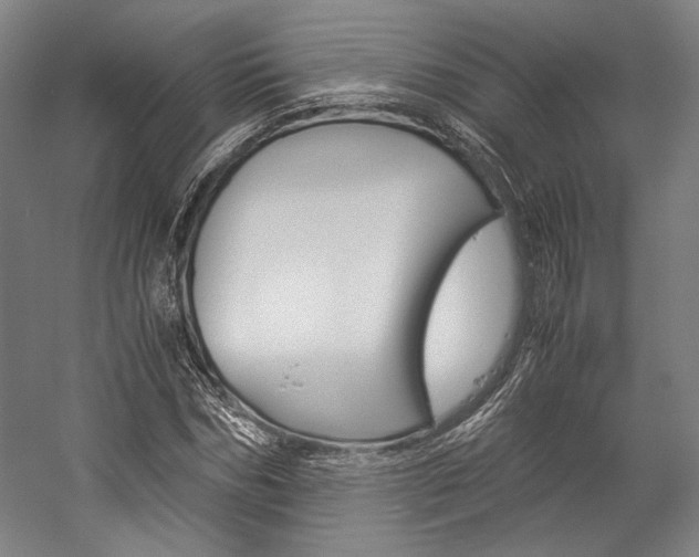 X0000057040970200509090812