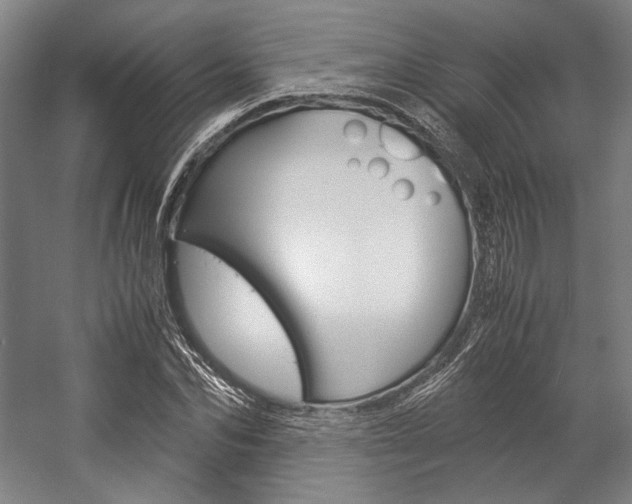 X0000057040974200509090812