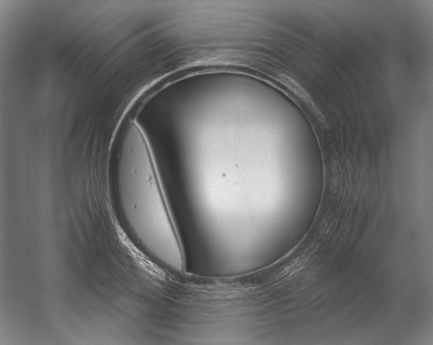 X0000057040980200509090812