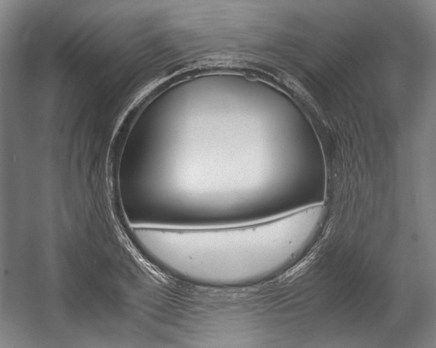 X0000057040981200509090812