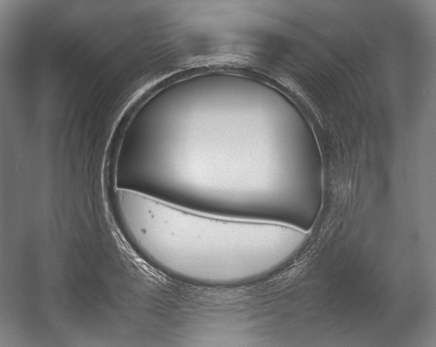 X0000057040983200509090812