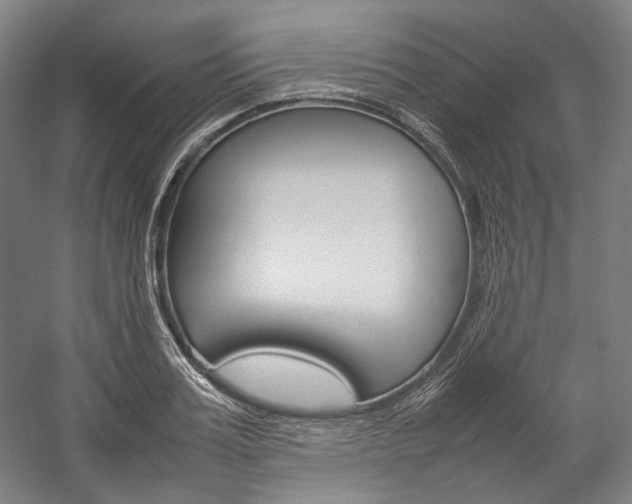 X0000057040987200509090812