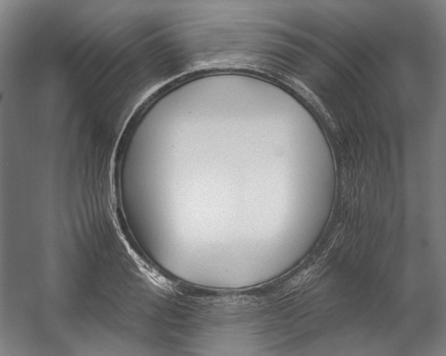 X0000057040988200509090812
