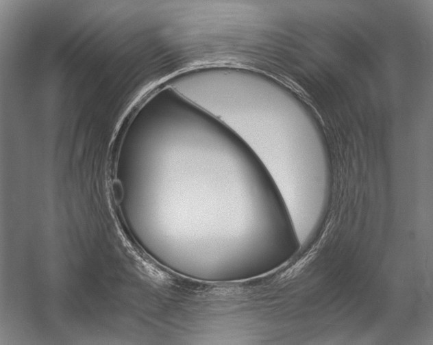 X0000057040989200509090812