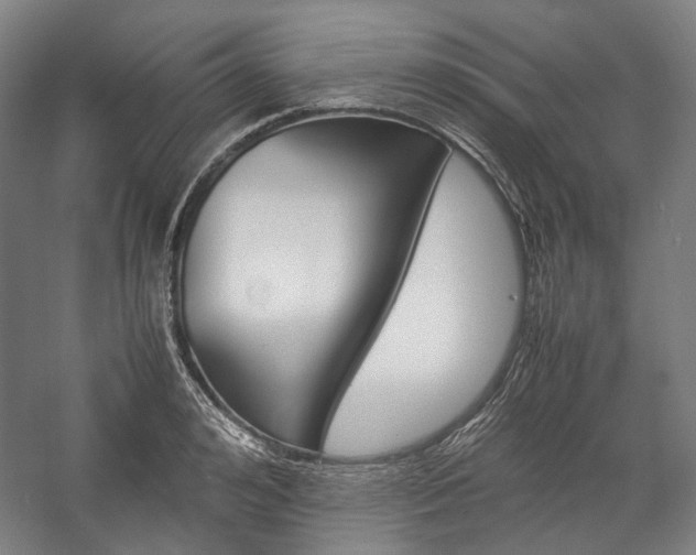 X0000057040992200509090812