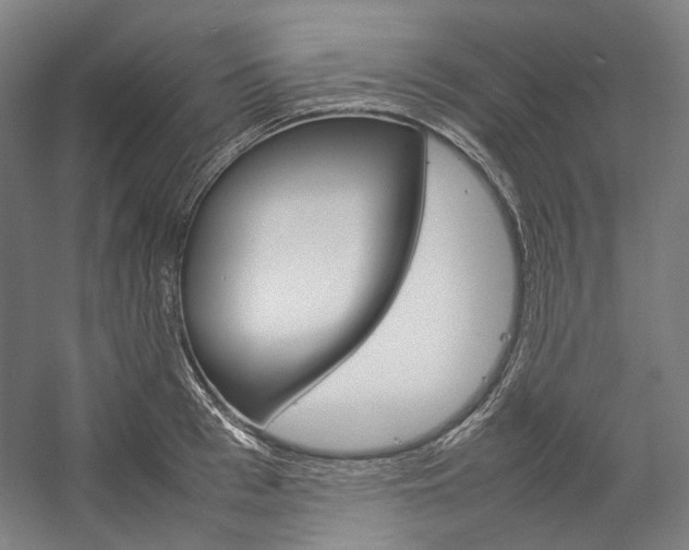 X0000057040993200509090811