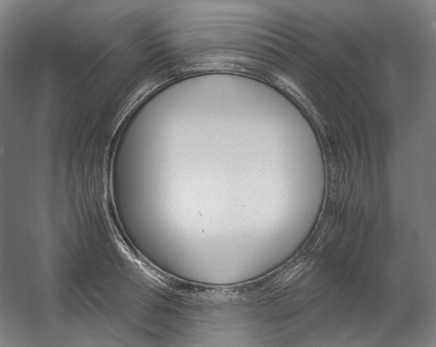 X0000057040994200509090811