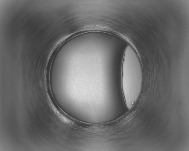 X0000057040995200509090811