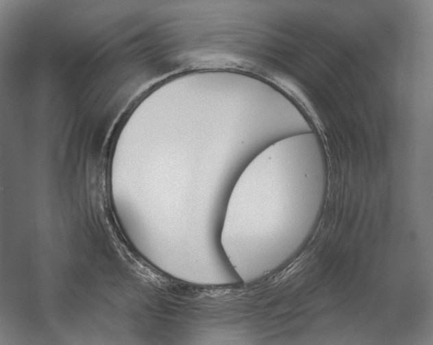 X0000057041000200509090811
