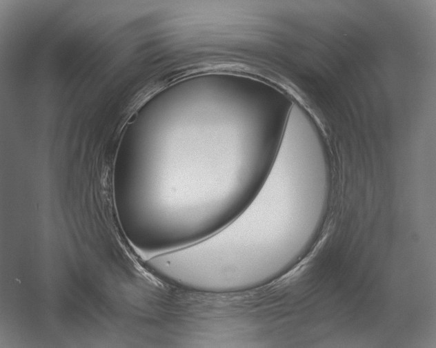X0000057041001200509090811