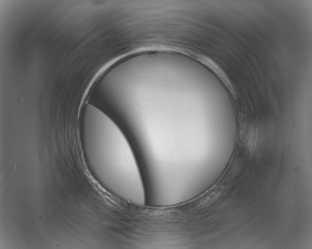 X0000057041004200509090811