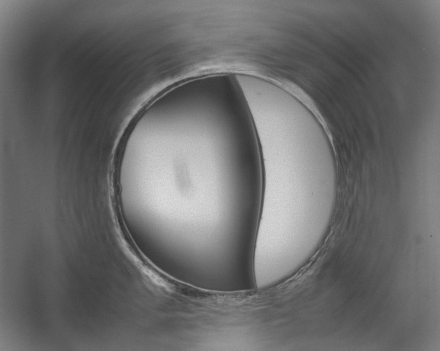 X0000057041005200509090811