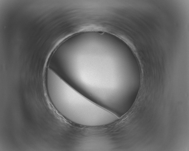 X0000057041008200509090811