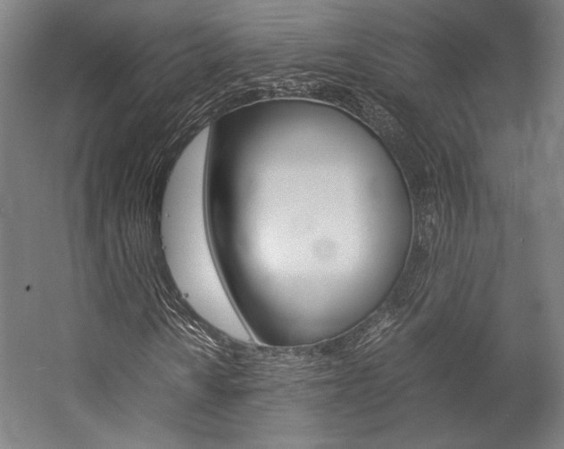 X0000057041010200509090810