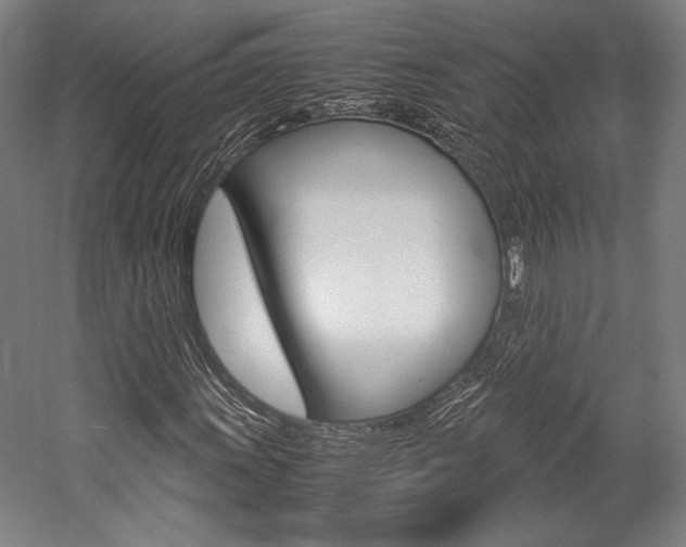 X0000057041011200509090810