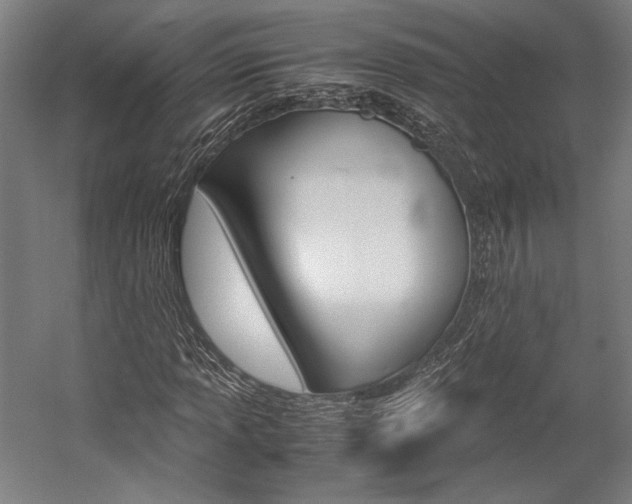 X0000057041013200509090810