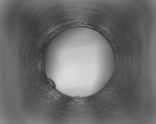 X0000057041015200509090811