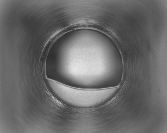 X0000057041018200509090811