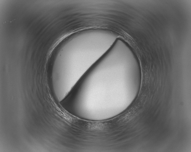 X0000057041019200509090811