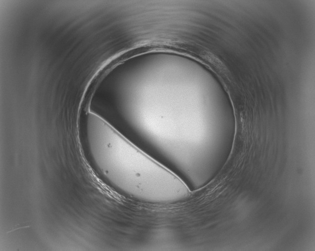 X0000057041020200509090811