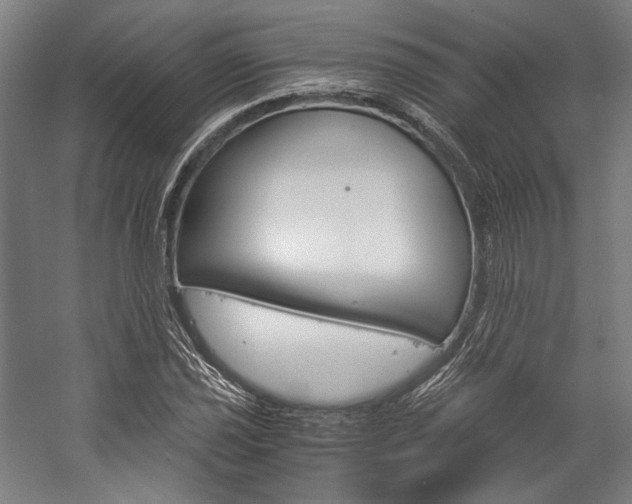 X0000057041021200509090811