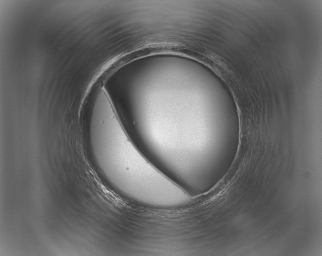 X0000057041022200509090811