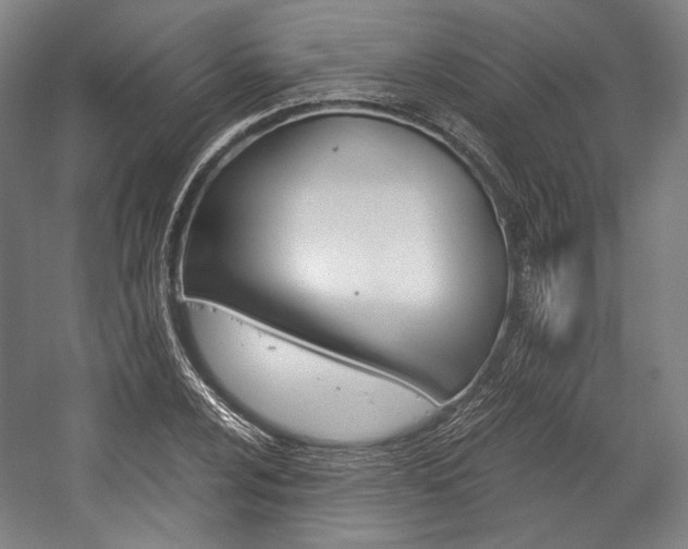 X0000057041024200509090811