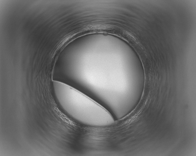 X0000057041025200509090811