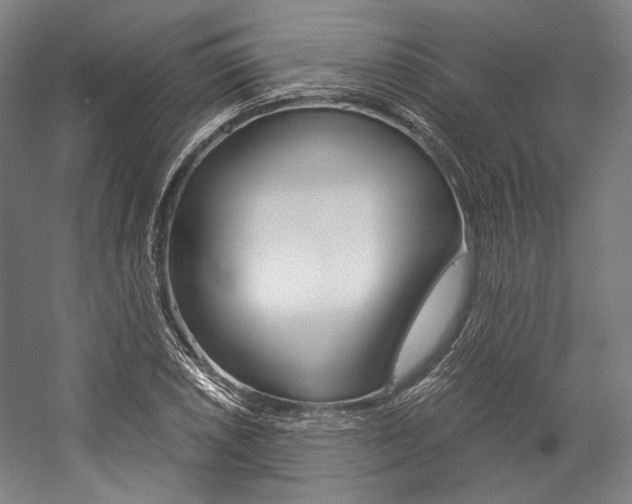 X0000057041026200509090811