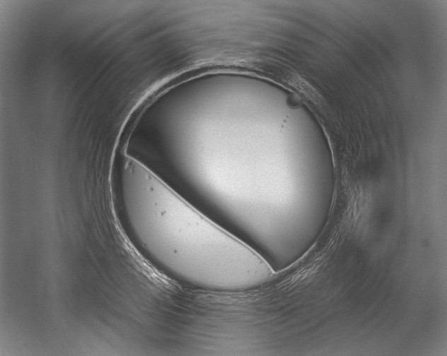 X0000057041028200509090811