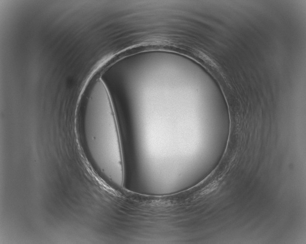 X0000057041029200509090811