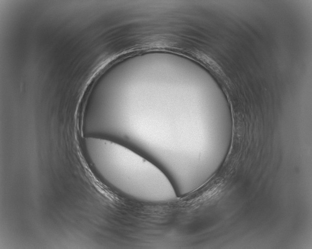 X0000057041031200509090811