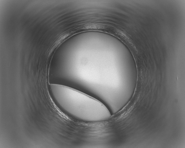 X0000057041033200509090811