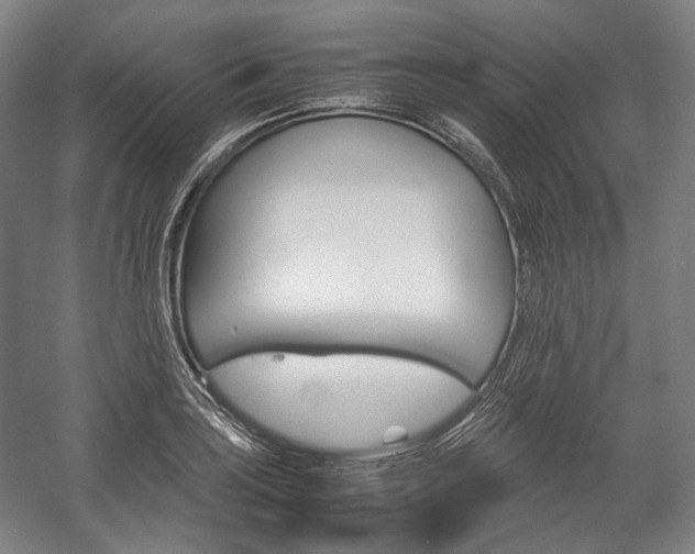 X0000057041035200509090811