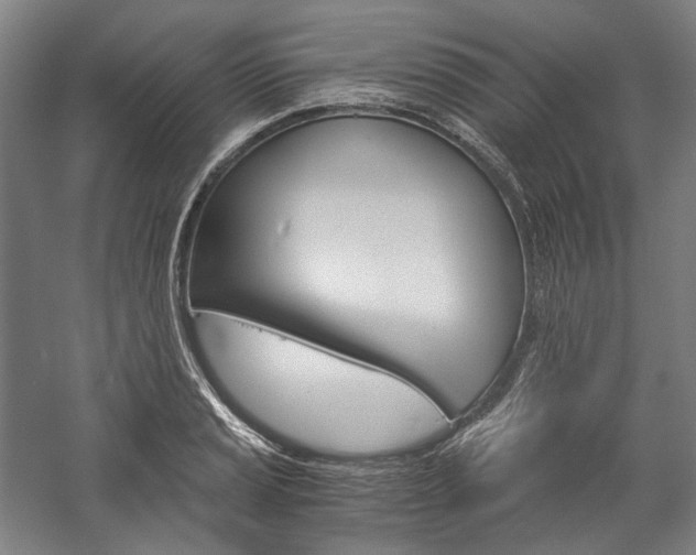 X0000057041037200509090811