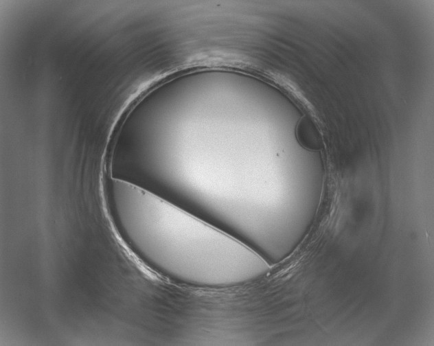 X0000057041040200509090811