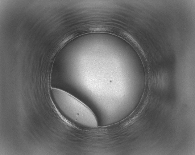 X0000057041041200509090811