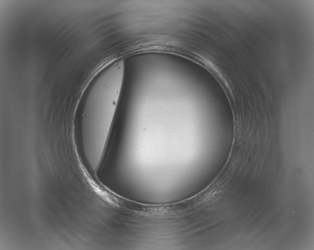 X0000057041042200509090811