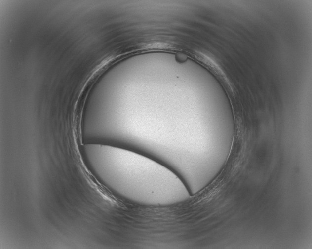 X0000057041043200509090811