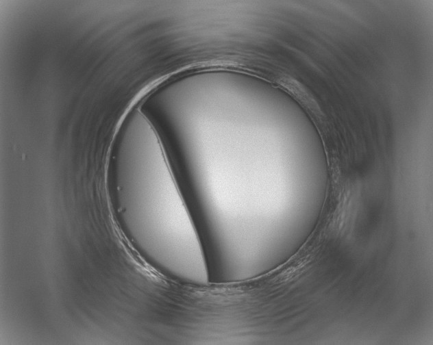 X0000057041044200509090811