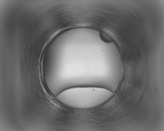X0000057041047200509090811