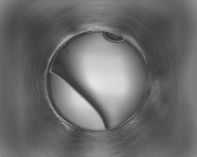 X0000057041048200509090811