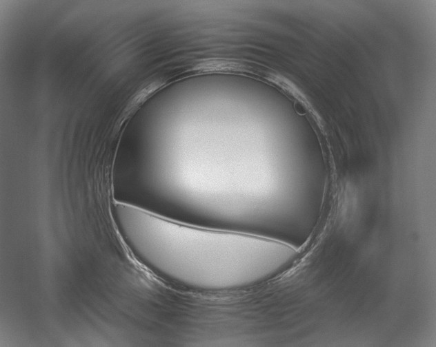 X0000057041049200509090811